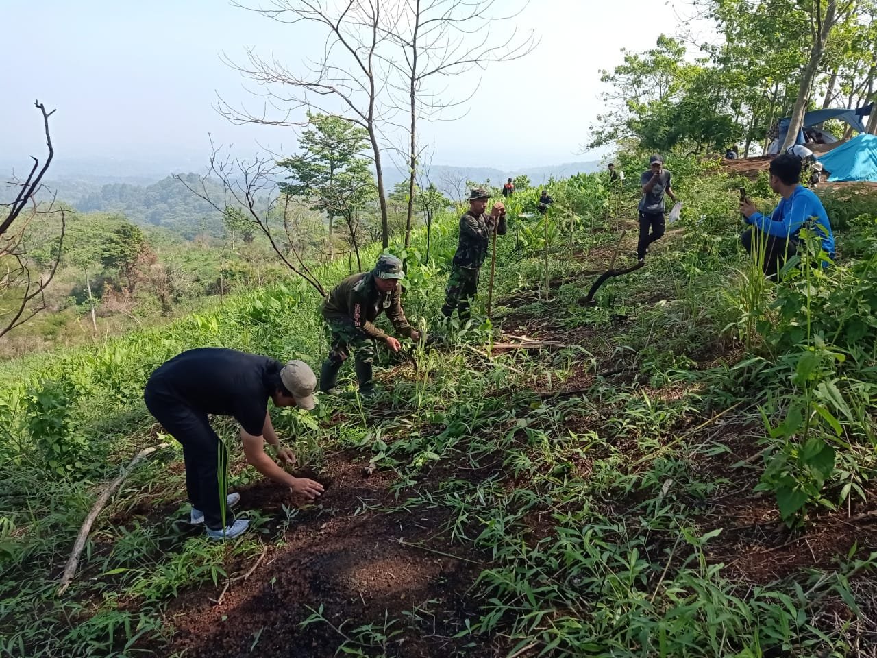 Hijaukan Bumi Koramil Pacet Bareng Pecinta Alam Tanam Ratusan Pohon Di