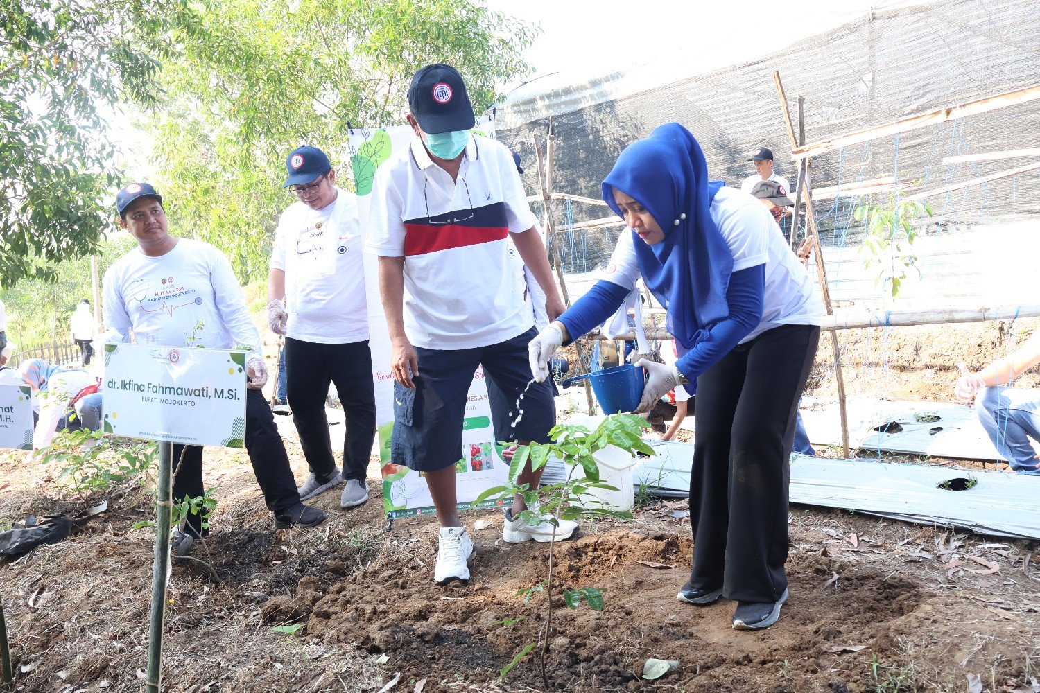 Rangkaian Hari Bakti IDI, Dokter di Mojokerto Baksos Tanam Pohon