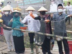 Panen Ikan, Kades Ngingasrembyong Sebut Diskon 50% Khusus untuk Warga Desa Ngingasrembyong