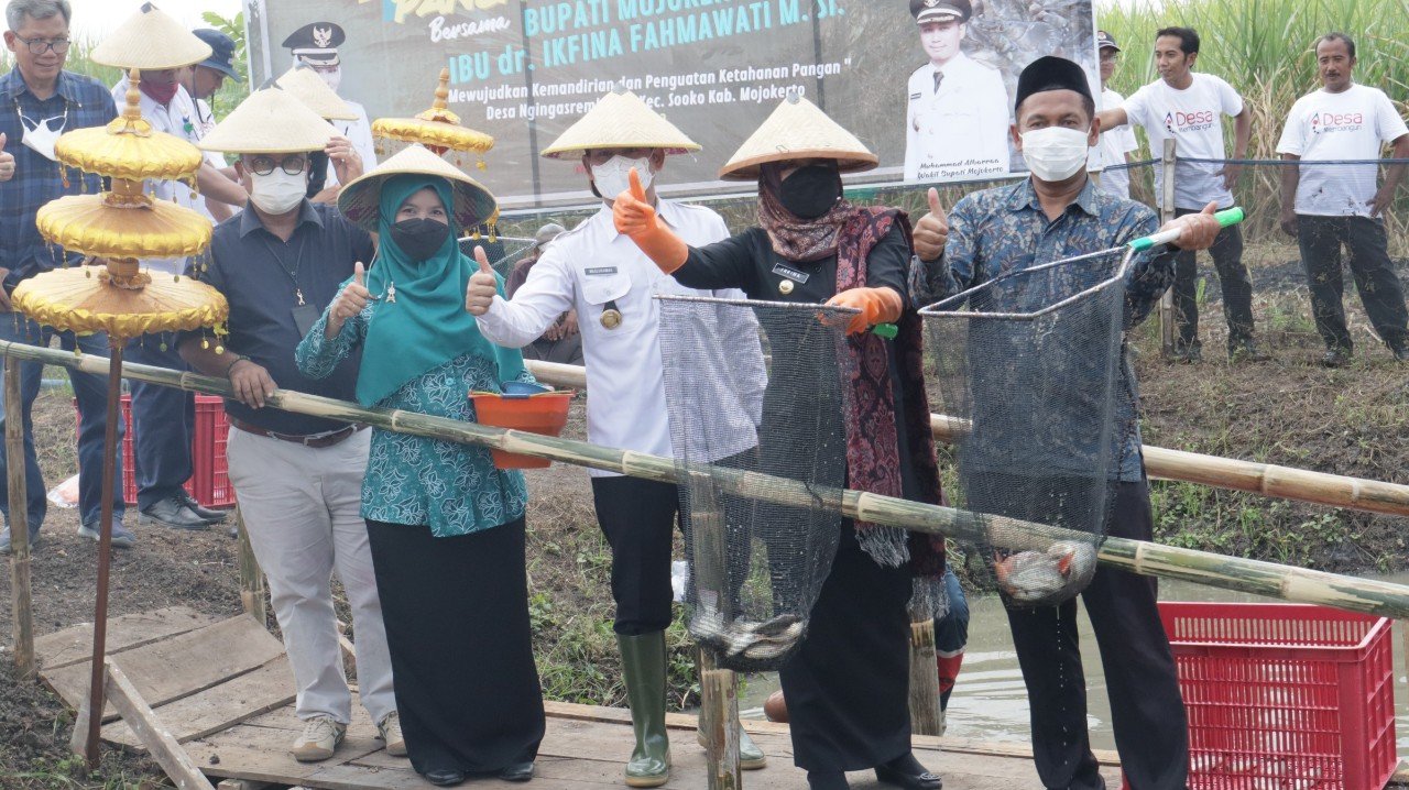Panen Ikan, Kades Ngingasrembyong Sebut Diskon 50% Khusus untuk Warga Desa Ngingasrembyong