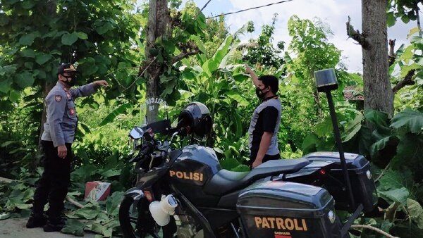 Pria ini Tewas di Tempat Setelah Memotong Ranting Pohon, Ada Apa?