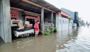 Puluhan Hektar Sawah & Perumahan di Kediri Terkena Banjir