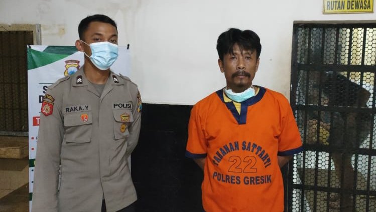 Membawa Bungkus Rokok, Sopir Truk Ditangkap Polres Gresik, Kenapa?