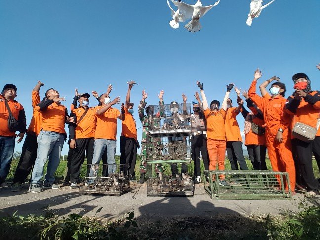 Peringati Hari Lingkungan Hidup, Relawan ISM Gelar Pelepasan Burung dan Ikan