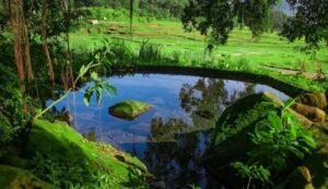Sumber Gempong Mojokerto Suguhkan Wisata yang Alami
