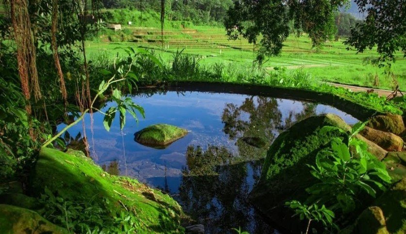 Sumber Gempong Mojokerto Suguhkan Wisata yang Alami