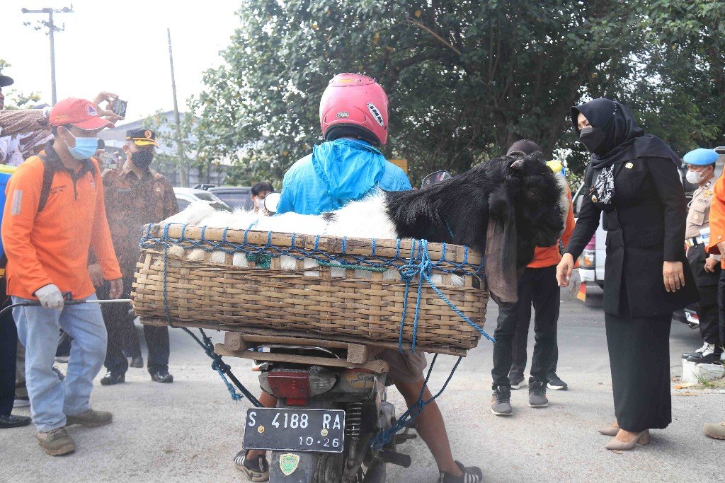 Bupati Mojokerto: SKKH Jadi Syarat Wajib Jual Beli Hewan Kurban