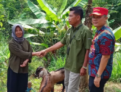 Dinsos Jombang Berikan Bantuan Usaha Hingga Wujudkan Pembangunan Musala untuk Warga Huntara Jombang