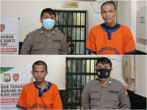 Sopir Pengedar Sabu ini Ditangkap Polres Gresik, Kenapa?