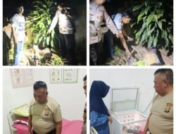 Polsek Sumberejo Selidiki Penemuan Bayi Perempuan Hidup di Lubang Bekas Septiteng Wonoharjo