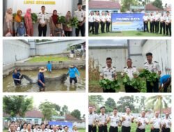 Panen Raya Serentak Kemenimipas, Lapas Kotaagung Panen Ubi hingga Ikan Hasil Karya Warga Binaan