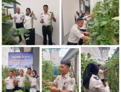 Rutan Kota Agung Panen Raya Serentak, Warga Binaan Dukung Ketahanan Pangan Nasional