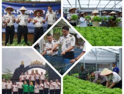 Panen Raya Serentak di SAE, Lapas Kelas IIA Kalianda Tegaskan Komitmen Dukung Ketahanan Pangan Nasional