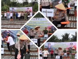 Polres Tanggamus Tanam Perdana Bawang Putih di Ulu Belu, Perkuat Ketahanan Pangan Nasional
