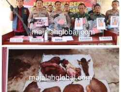 Sinergi Polri-TNI dan TNBBS Berhasil Ungkap Perburuan Satwa Rusa Sambar Dilindungi di Pematang Sawa
