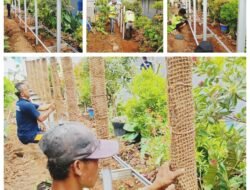 Kembangkan Budidaya Bernilai Ekonomi Tinggi, Lapas Kelas I Bandar Lampung Berdayakan Warga Binaan Lewat Green House Vanili