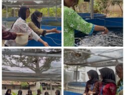 Lapas Kalianda Kembangkan Budidaya Perikanan, Bekali WBP Keterampilan Produktif Menuju Kemandirian