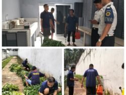Rawat Tanaman, Panen Kangkung, Lapas Kalianda Dorong WBP Jadi Lebih Mandiri dan Produktif