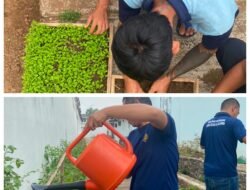 Lapas Kalianda Dorong Ketahanan Pangan, Warga Binaan Dibekali Keterampilan Pembibitan Pakcoy