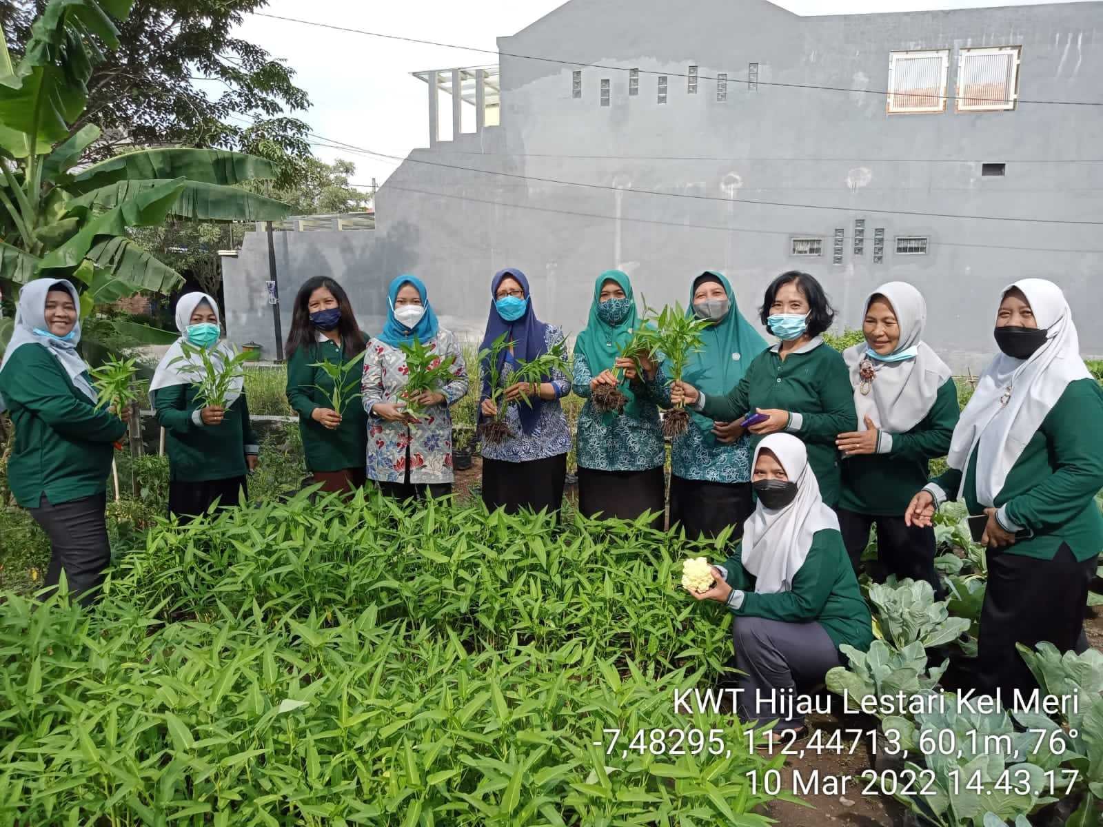 Kampung KB Kelurahan Meri Siap Berkompetisi pada Tanggal 11 Mei Mendatang
