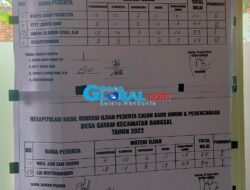 Dapatkan Nilai 89 dan 84, Adeha dan Lia Siap Mengabdi di Pemdes Gayam