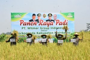 Pemkab Mojokerto Panen Raya Padi Sistem Demplot