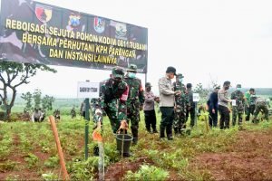 Kodim 0811 Tuban Gelar Reboisasi Sejuta Pohon