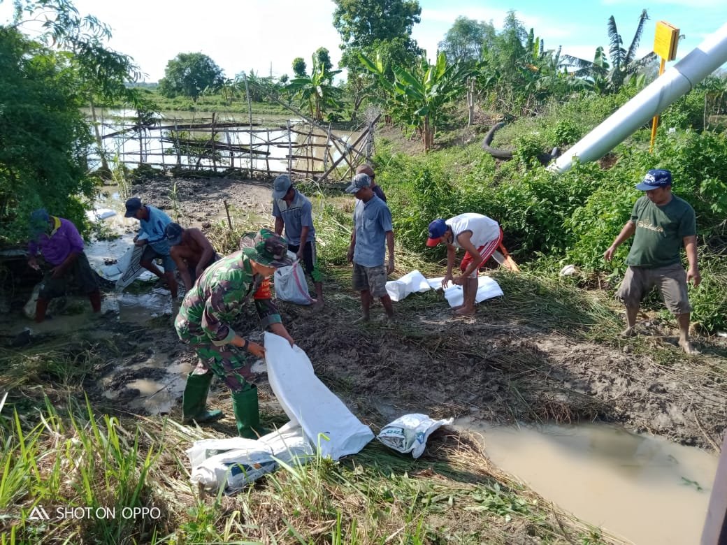 Kesigapan TNI di Lamongan dalam Perbaiki Tanggul Jebol