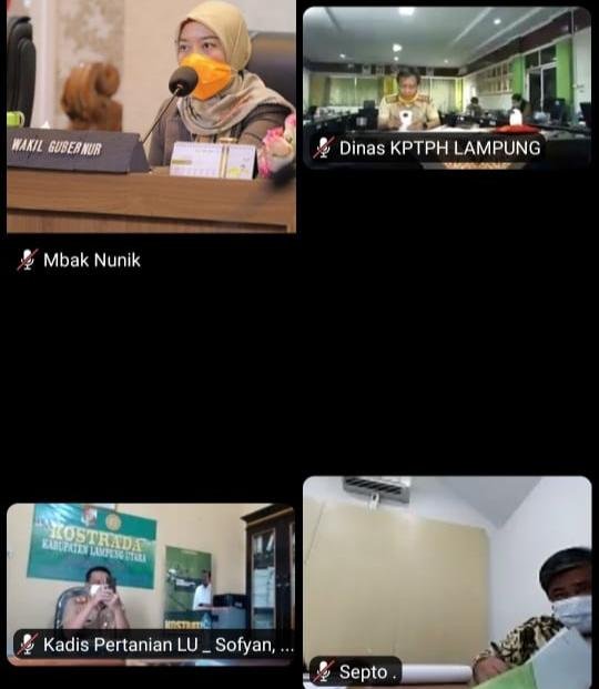 Rakor Penyaluran Pupuk Bersubsidi 2021, Wagub Chusnunia Minta Segera Cari Solusi atasi Keluhan Pupuk di Kalangan Petani