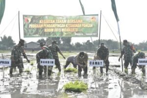 Kodim 0815/Mojokerto Intensifkan Pendampingan Hanpangan