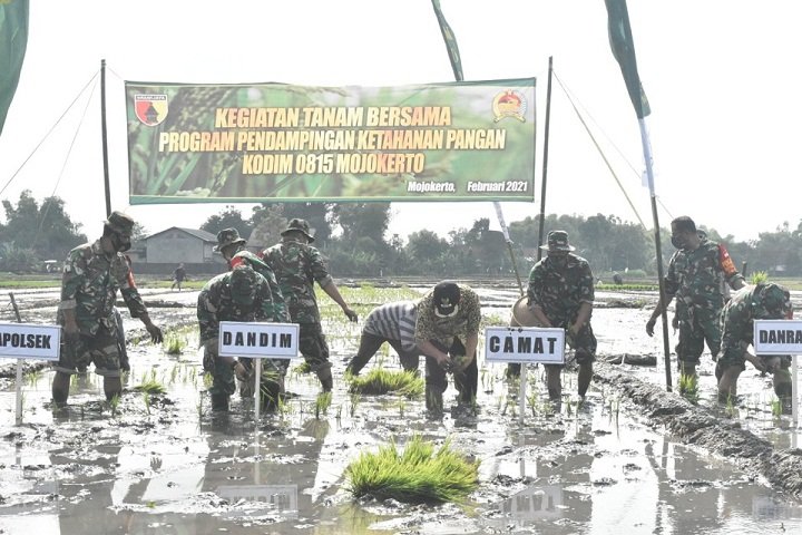 Kodim 0815/Mojokerto Intensifkan Pendampingan Hanpangan