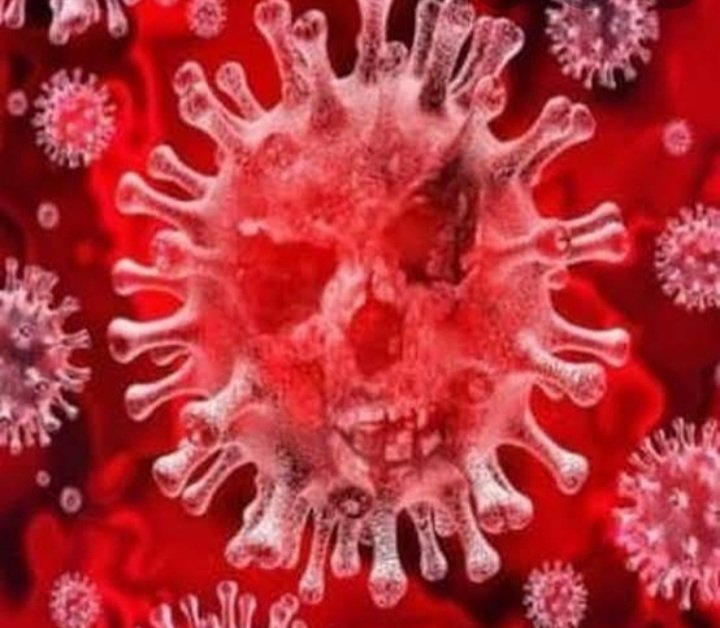 Tiap Jam, 4 Orang Indonesia Wafat Akibat COVID-19