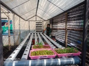 Kodim 0815/Mojokerto Kembangkan Tanaman Hortikultura & Hidroponik