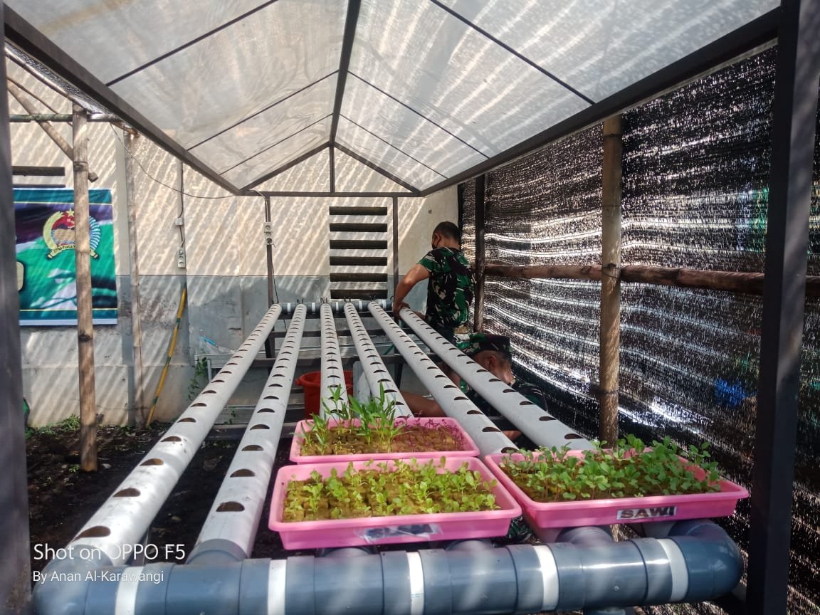 Kodim 0815/Mojokerto Kembangkan Tanaman Hortikultura & Hidroponik