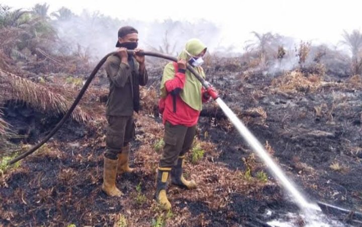 Masyarakat Harus Waspada Karhutla, Jumlah hotspot di Sumsel Meningkat