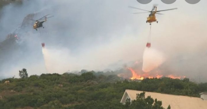 Jumlah Hot Spot di Sumatera Selatan Terus Meningkat, Palembang dan Sekitarnya Waspada Karhutla