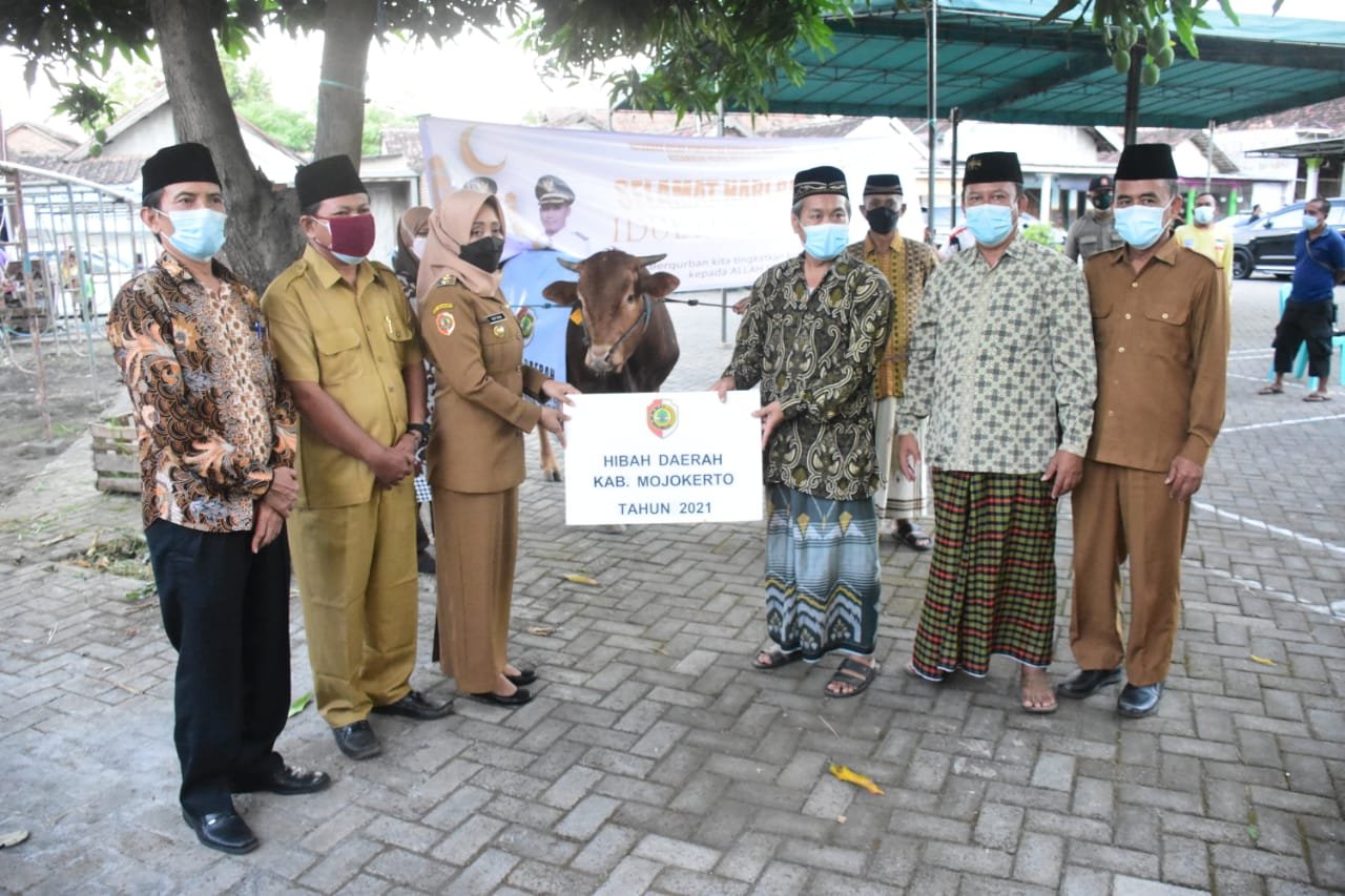 Pemkab Mojokerto Berikan 18 Ekor Sapi untuk Masjid Se-Kabupaten Mojokerto