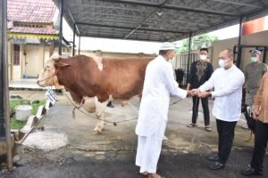 Kapolda Jambi menyerahkan 22 ekor hewan qurban ke Masjid Al -ikhlas