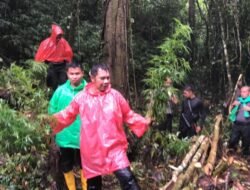 Polres Kerinci Berhasil Temukan Lokasi Penyemaian Ganja Seluas 0,5 HA