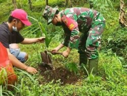 Koramil Pacet Bersama Instansi Terkait & LMDH Reboisasi Kawasan Hutan Penyangga