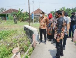 Wabup Subandi Sidak Sungai Kedungsumur yang Meluber ke Persawahan