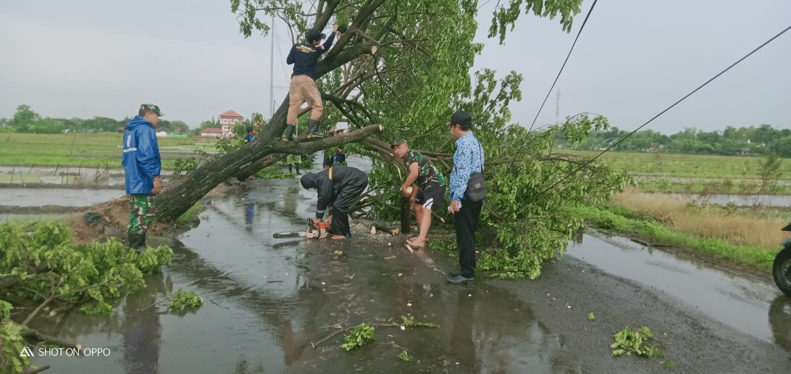 Sinergi Pos Ramil Mojoanyar-Forpimka-BPBD-Relawan Evakuasi Pohon Tumbang