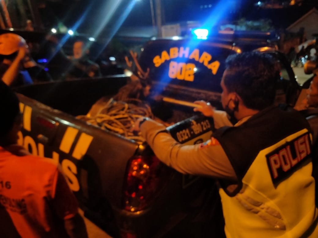 Polsek Pacet Selamatkan Rusa yang Masuk Gorong-gorong