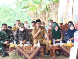 Ketua DPRD H. Abdullah Hadiri Panen Raya Cabe Desa Lubuk Terentang