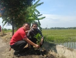 PDI Perjuangan Sidoarjo beri kado ULTAH KETUM Berupa ratusan penanaman Bibit Pohon
