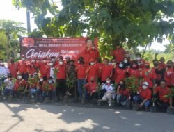 PDI Perjuangan Sidoarjo beri kado ULTAH KETUM Berupa ratusan penanaman Bibit Pohon