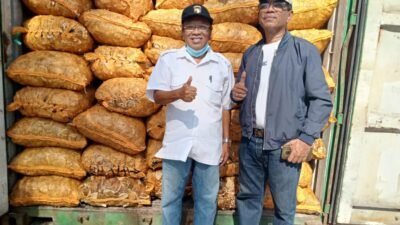 Sejahterakan Petani Kelapa, PT.SPA Kembali Ekspor 13 Ton Lebih Kopra Putih