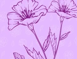 Perdana Karya Muslimah ” UKHTY IZINKAN KUPINANG IMAMMU”