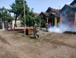 Tangkal DBD Koramil Ngoro Gandeng PKM Lakukan Ini