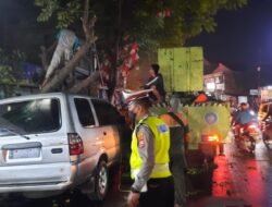 Pohon Tumbang Timpa Satu Mobil, Polisi bersama Warga Krian Lakukan Evakuasi